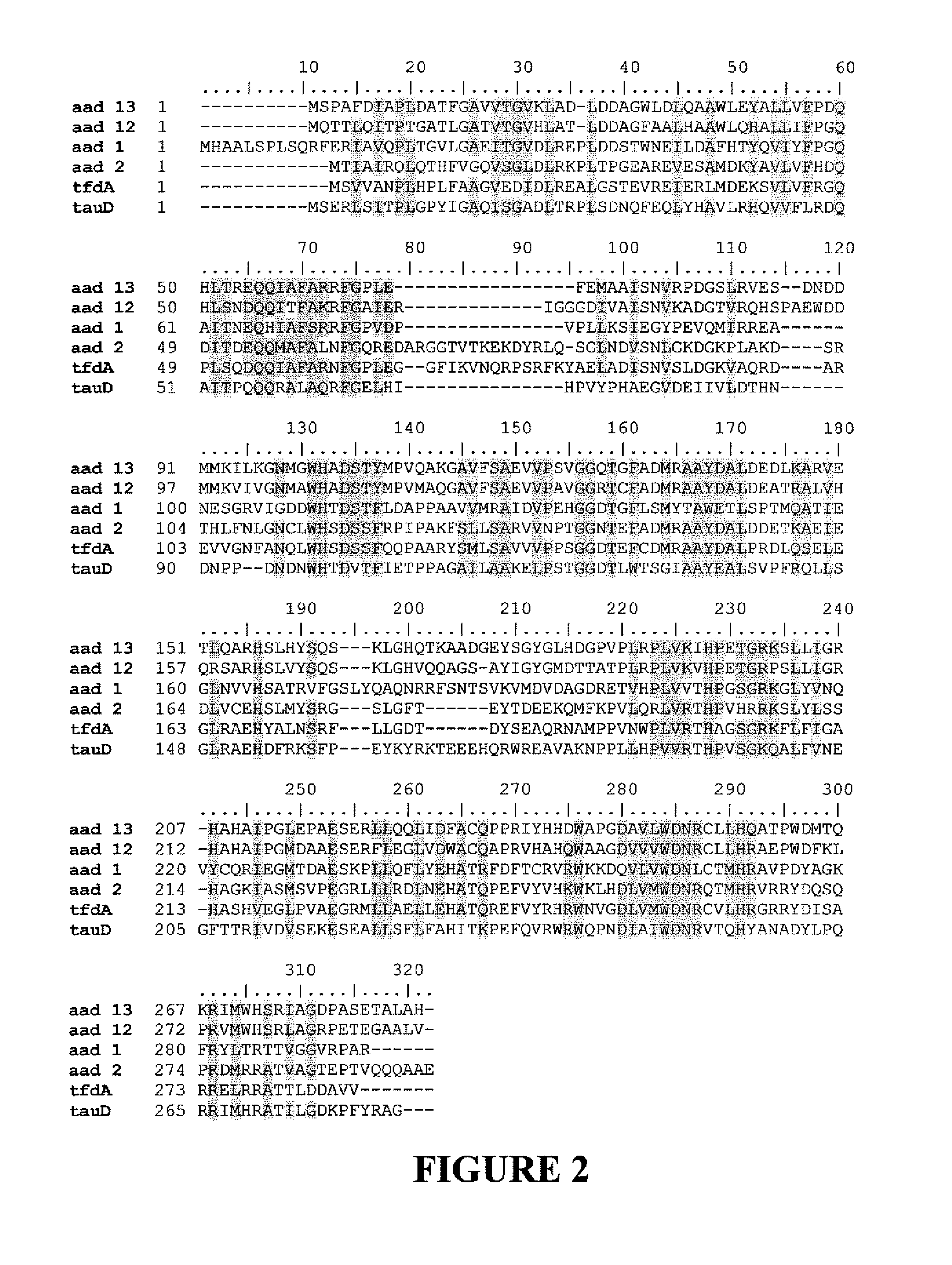 Novel Herbicide Resistance Genes