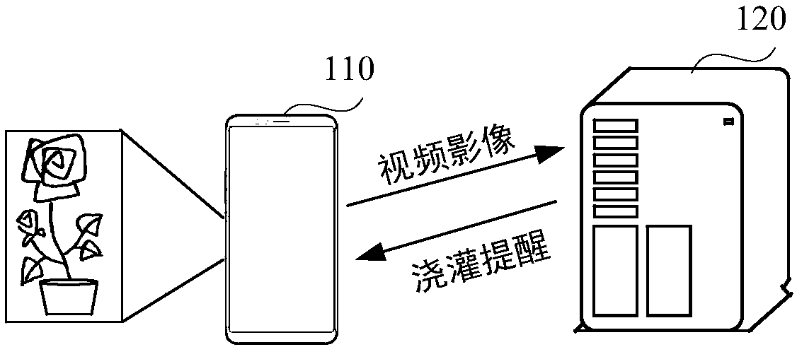 Plant watering reminding method, device, equipment and storage medium