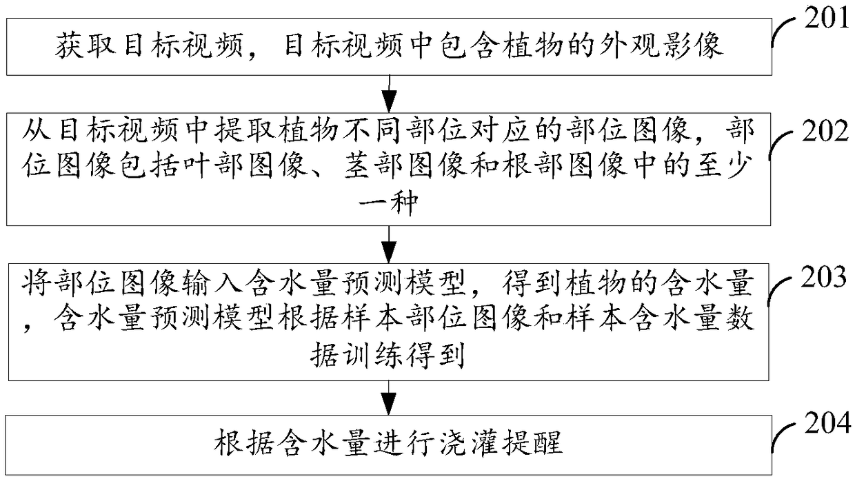 Plant watering reminding method, device, equipment and storage medium