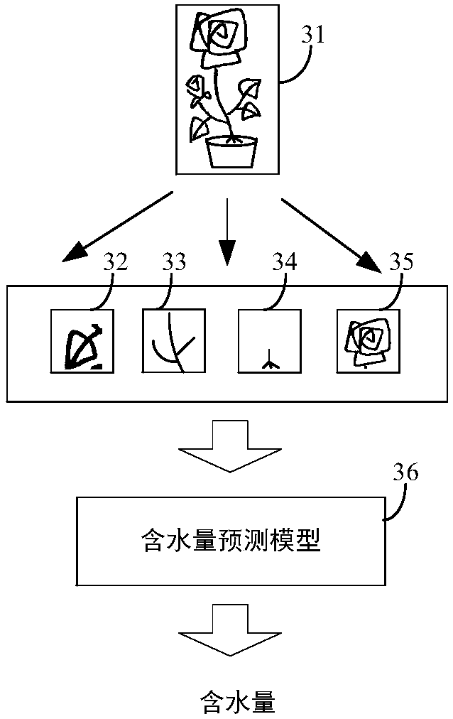 Plant watering reminding method, device, equipment and storage medium