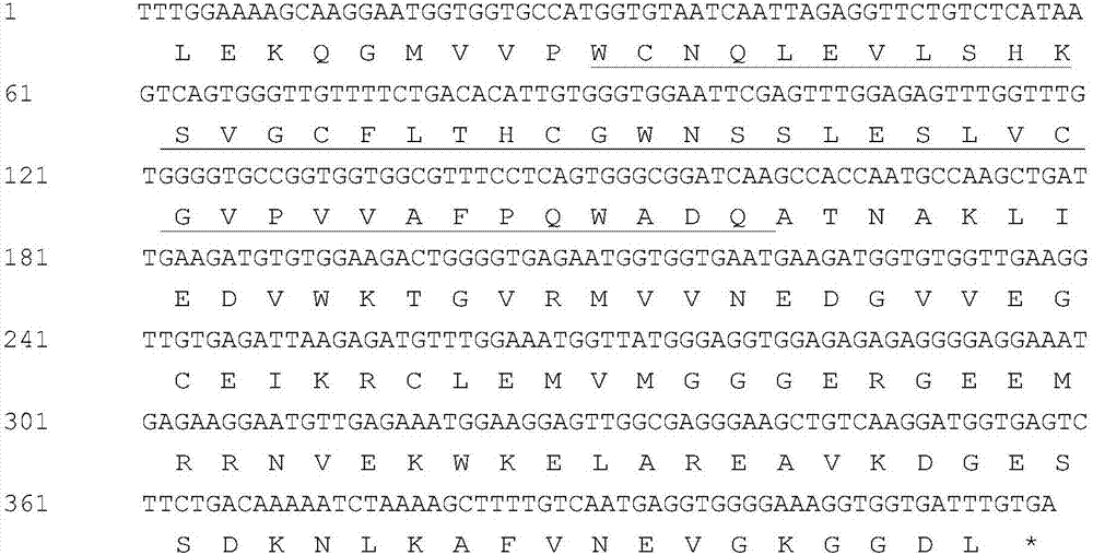 VIGS silence system for identifying peony UDPglucose Flavonoid Glucosyl-Transferase gene