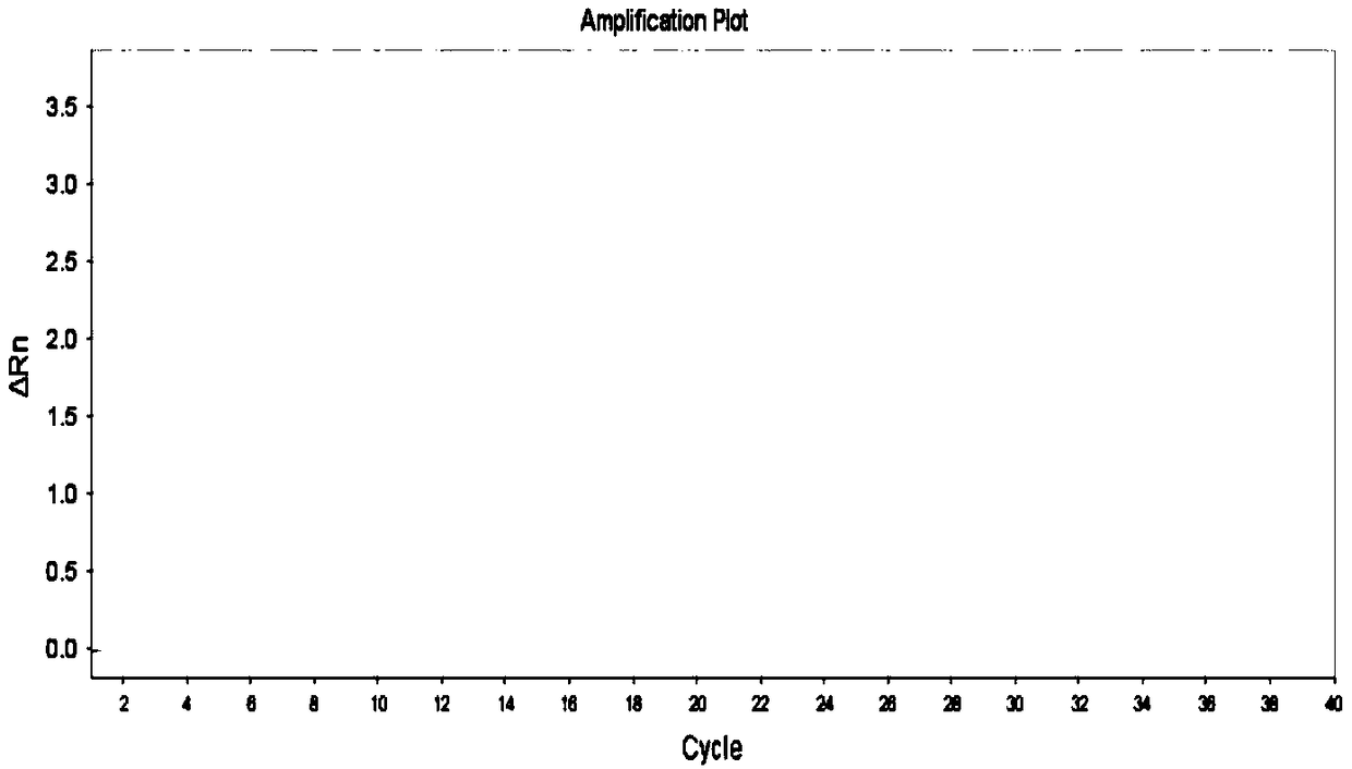 Product for simultaneously detecting polymorphism of MTHFR and MTRR genes, as well as method and application thereof