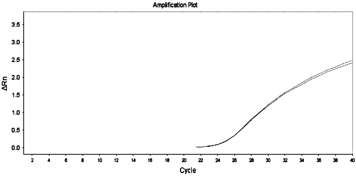 Product for simultaneously detecting polymorphism of MTHFR and MTRR genes, as well as method and application thereof