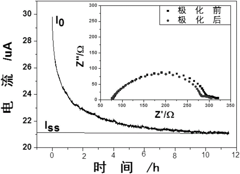 Polymer electrolyte for lithium ion battery and preparation method