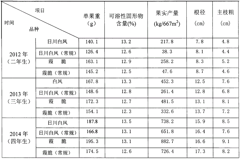 High-quality labor-saving shaping cultivation method for peach tree