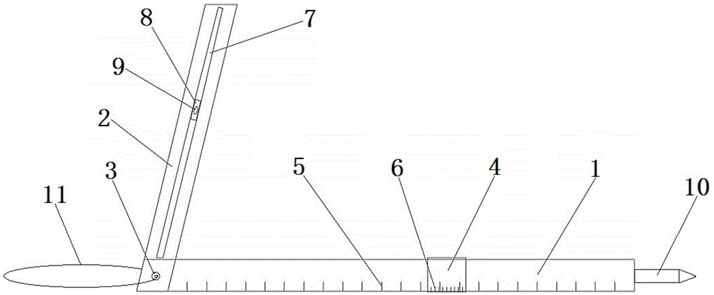 Multifunctional ruler