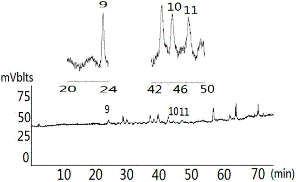 Detecting method for measuring content of flavonoid compounds and terpene lactone compounds in ginkgo bioba leaf extract at same time