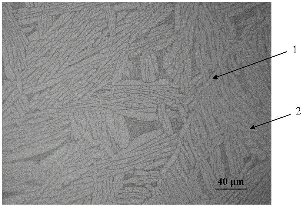 Method for refining cast titanium alloy crystalline grains