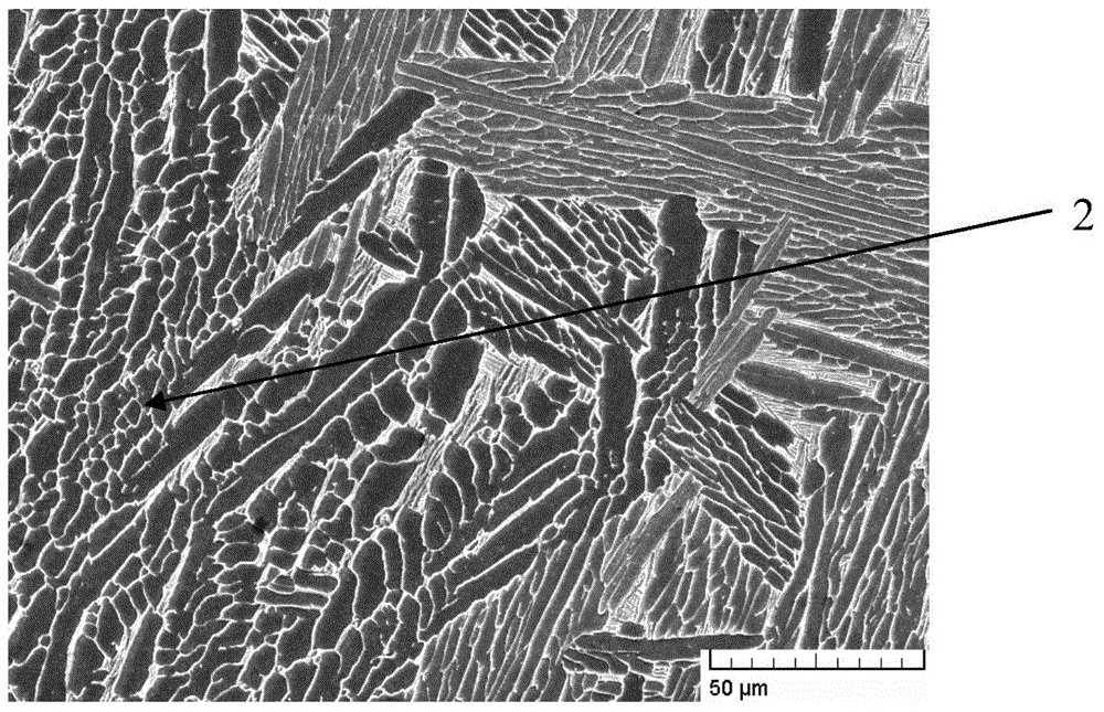 Method for refining cast titanium alloy crystalline grains