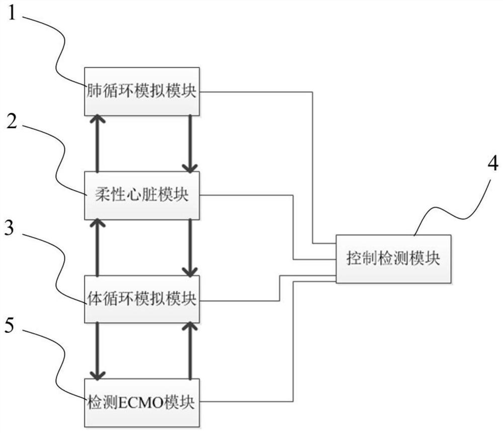 Simulation cycle test system for ECMO (extracorporeal membrane oxygenation) and application of simulation cycle test system