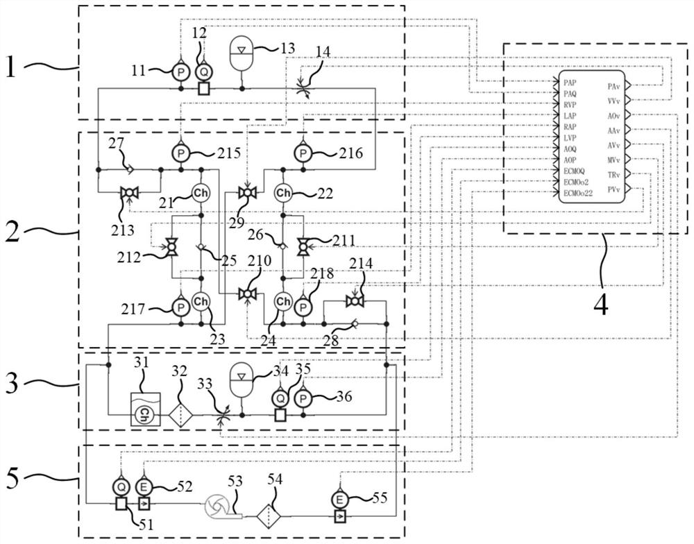 Simulation cycle test system for ECMO (extracorporeal membrane oxygenation) and application of simulation cycle test system