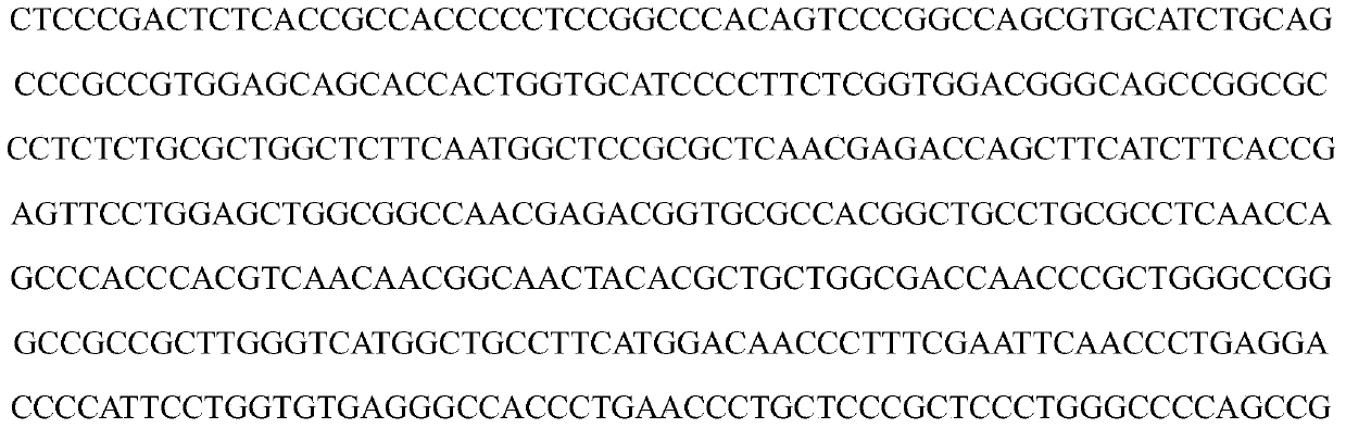 trka gene as a molecular marker for litter size traits in sheep and its application