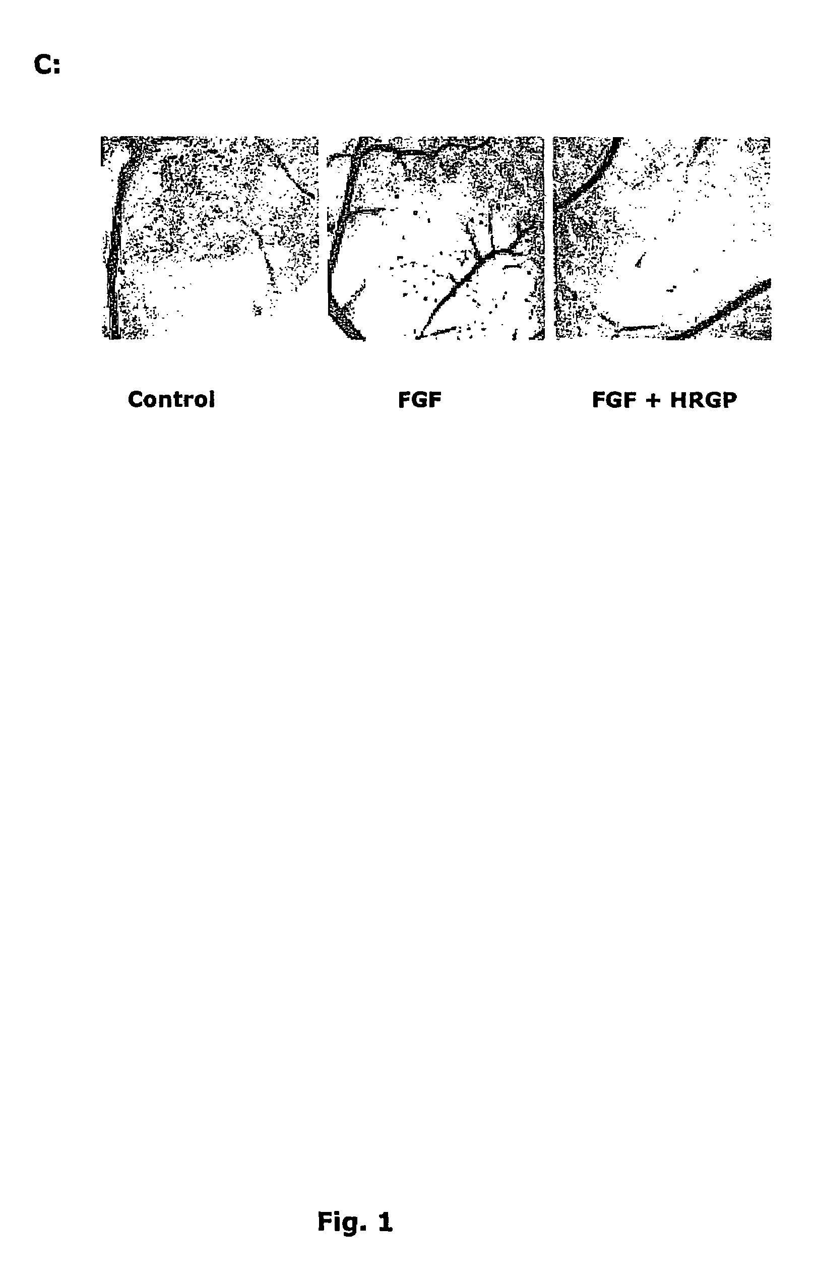 Endogenous peptide and active subfragments thereof