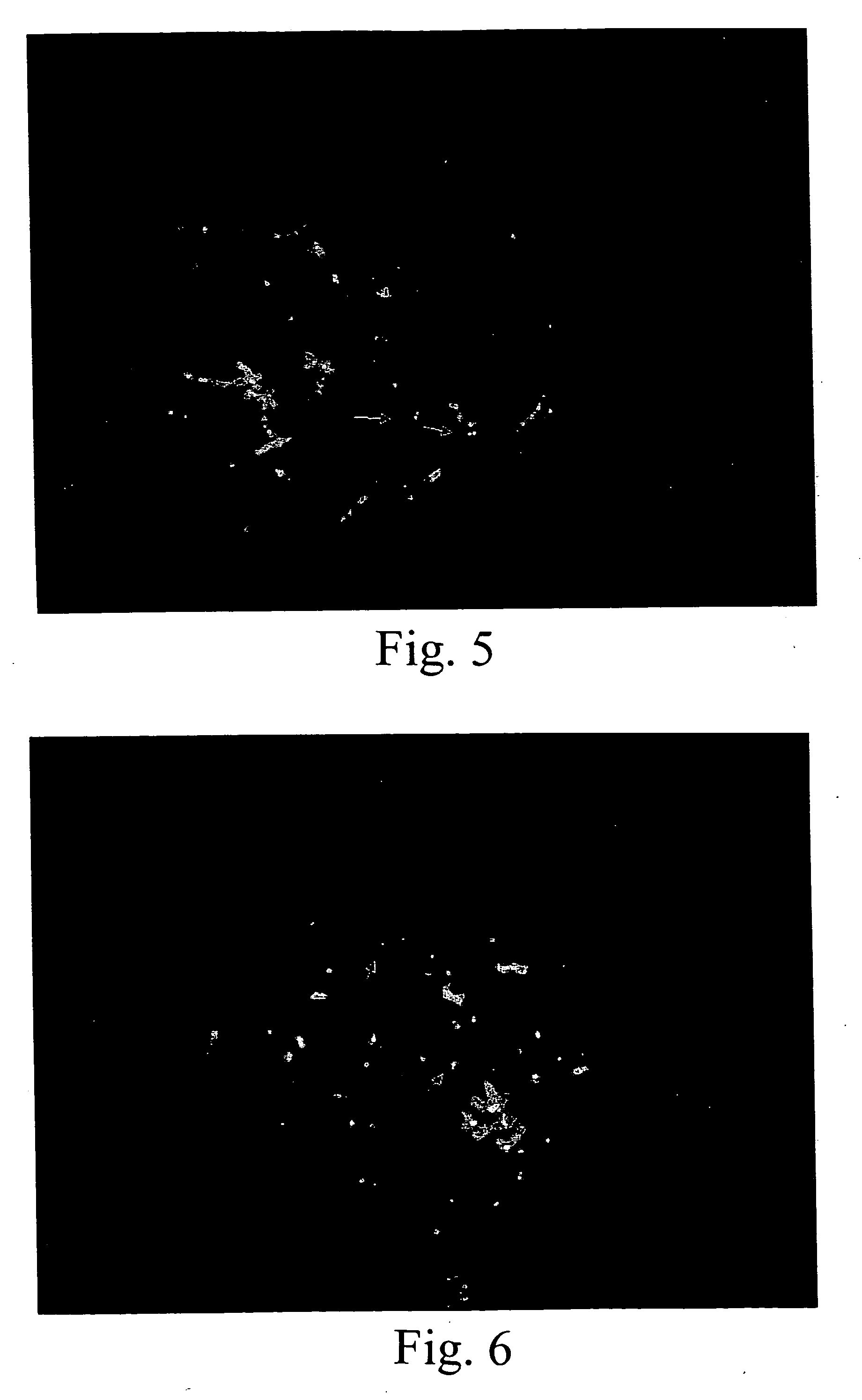 Single copy genomic hybridization probes and method of generating same