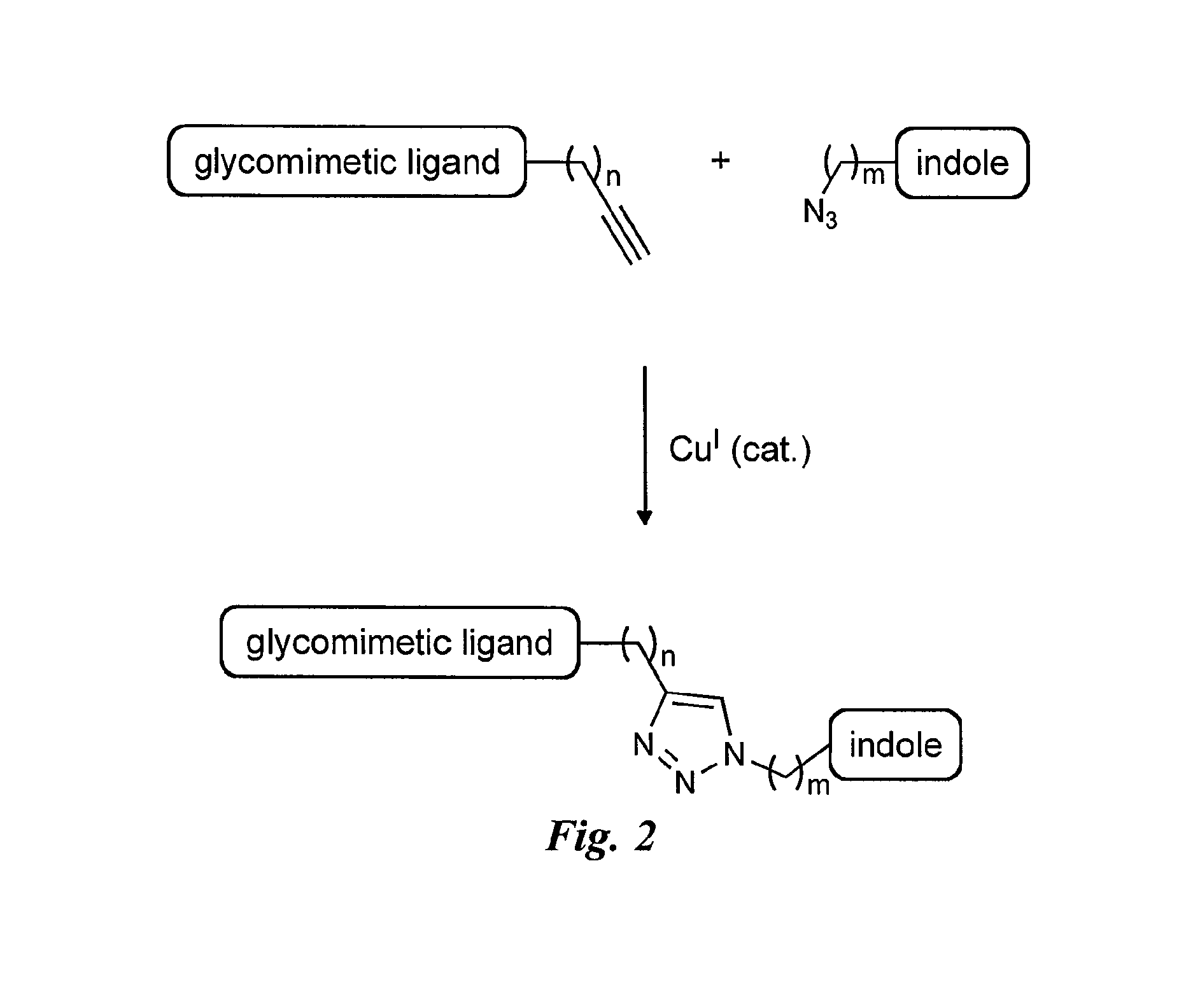 E-selectin antagonists