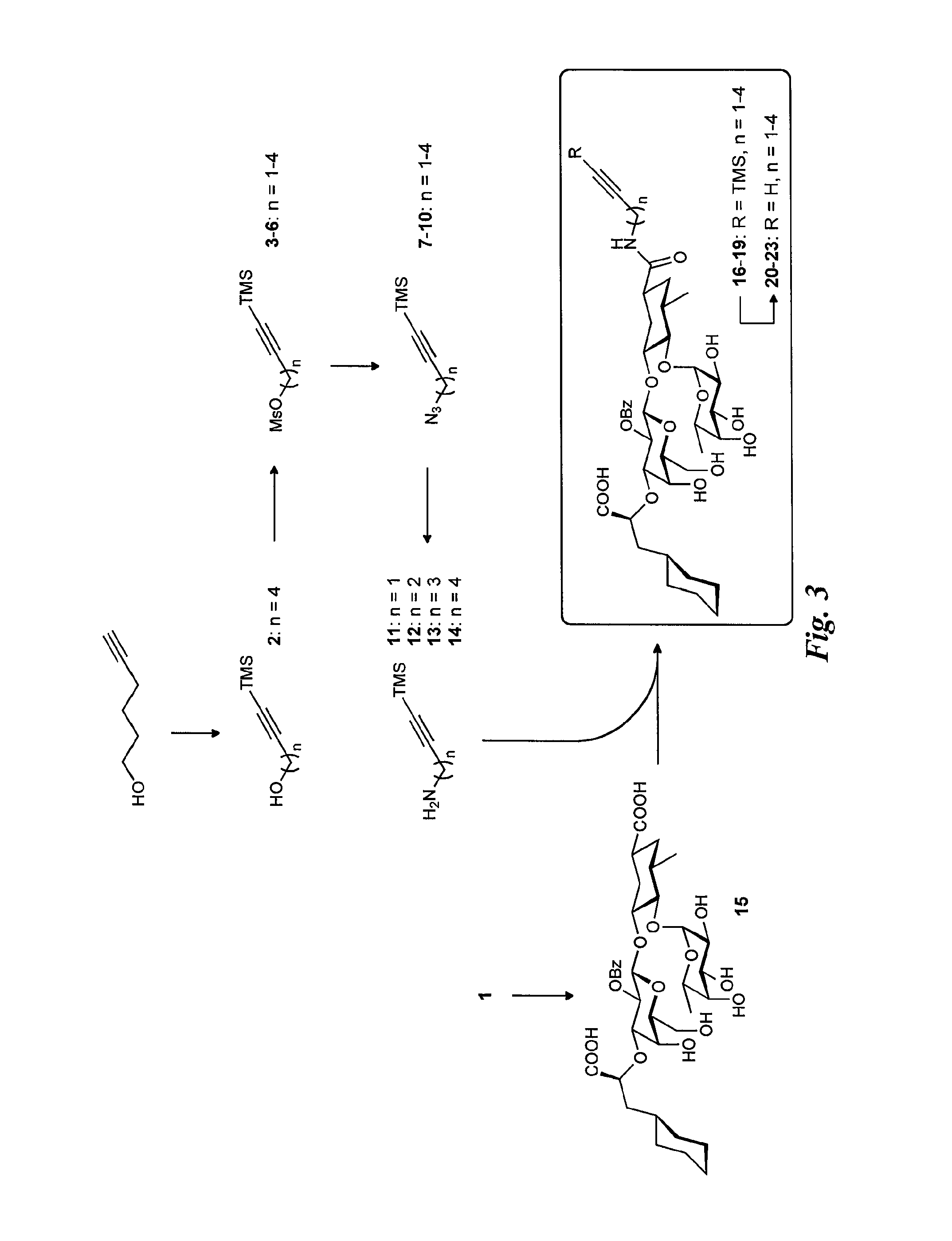 E-selectin antagonists