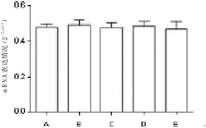 Pharmaceutical composition for treating chronic nephritis