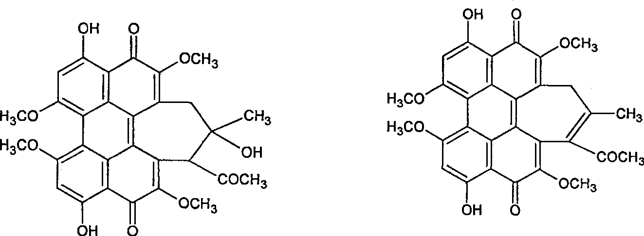 Shiraia strain for perylene producing quinone compound