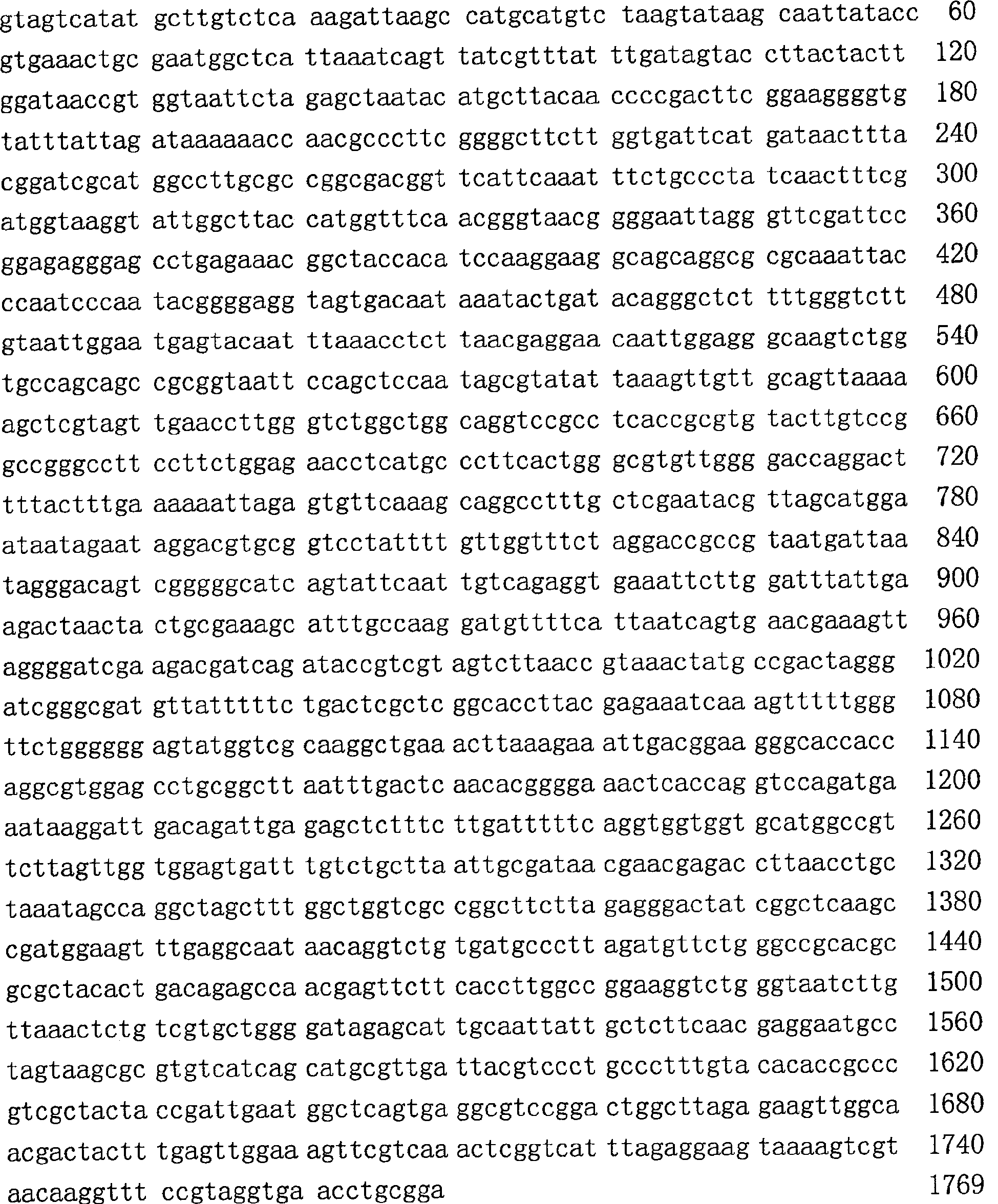 Shiraia strain for perylene producing quinone compound