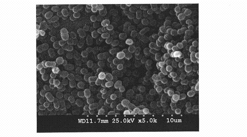 Acinetobacter sp. and application of composite bacterial agent of acinetobacter species