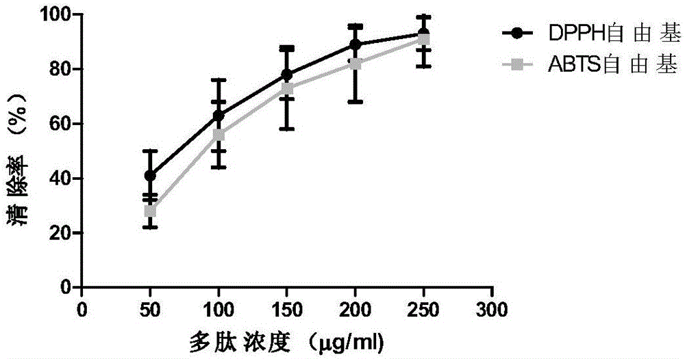 Microhyla pulchra antioxidation peptide and gene thereof, and application of microhyla pulchra antioxidation peptide to pharmacy