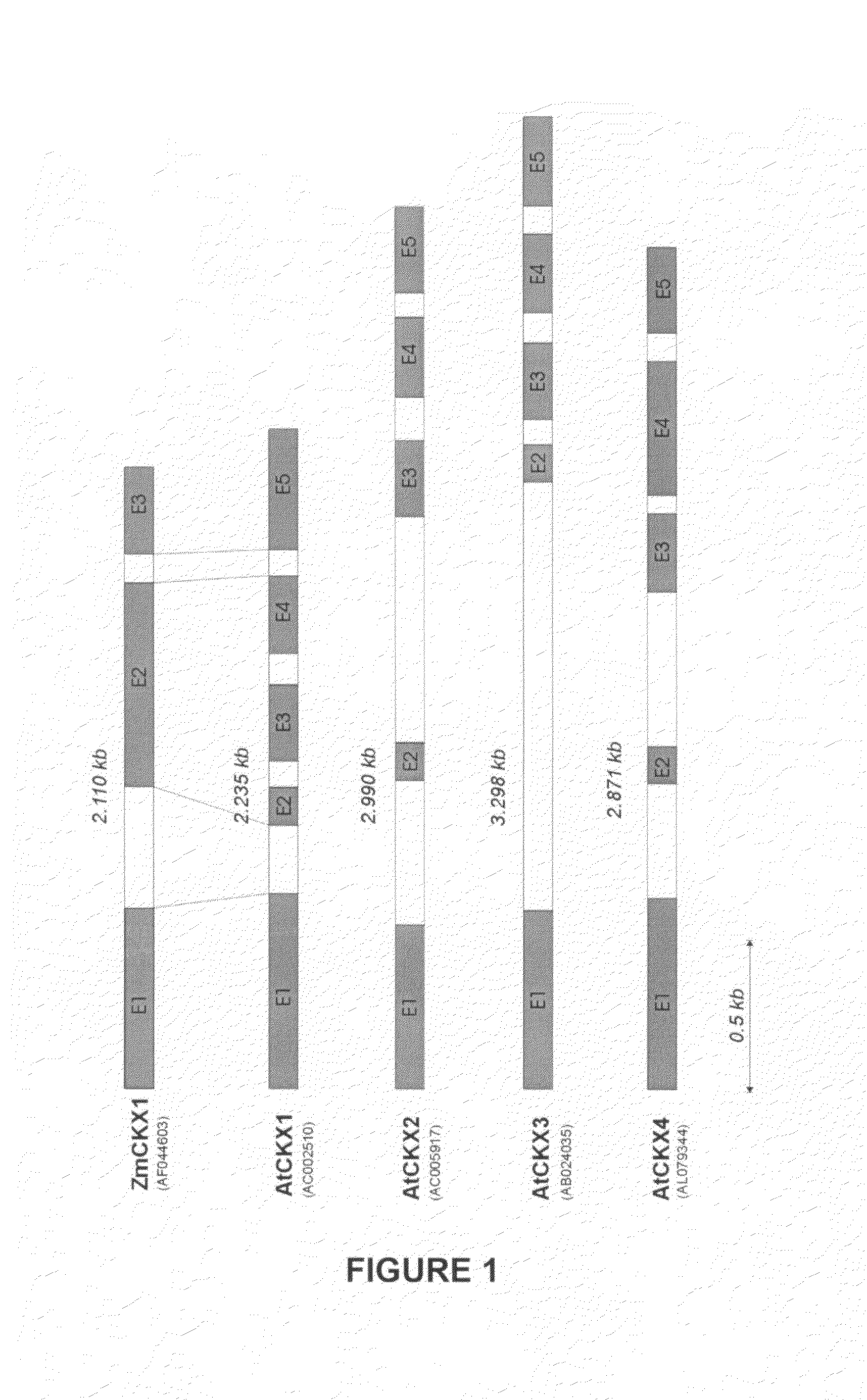 Method for modifying plant morphology, biochemistry and physiology