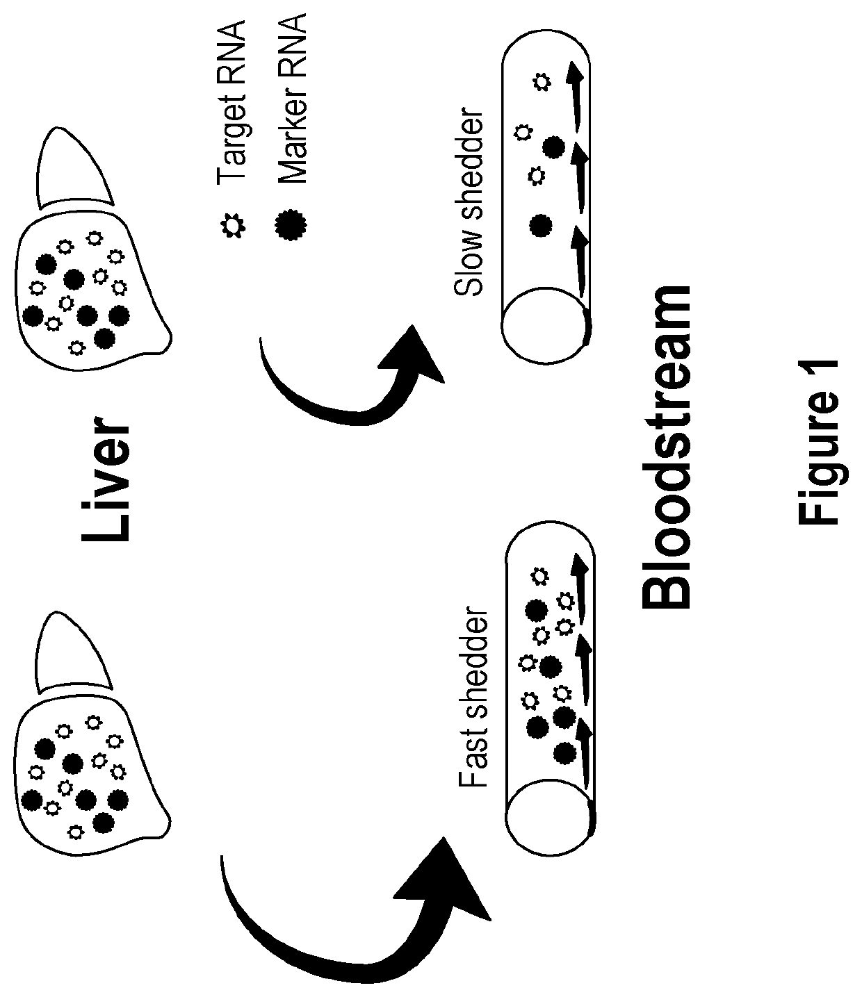 Methods and apparatus for generating a virtual model of xenobiotic exposure using transcriptomics analysis of liquid biopsy samples