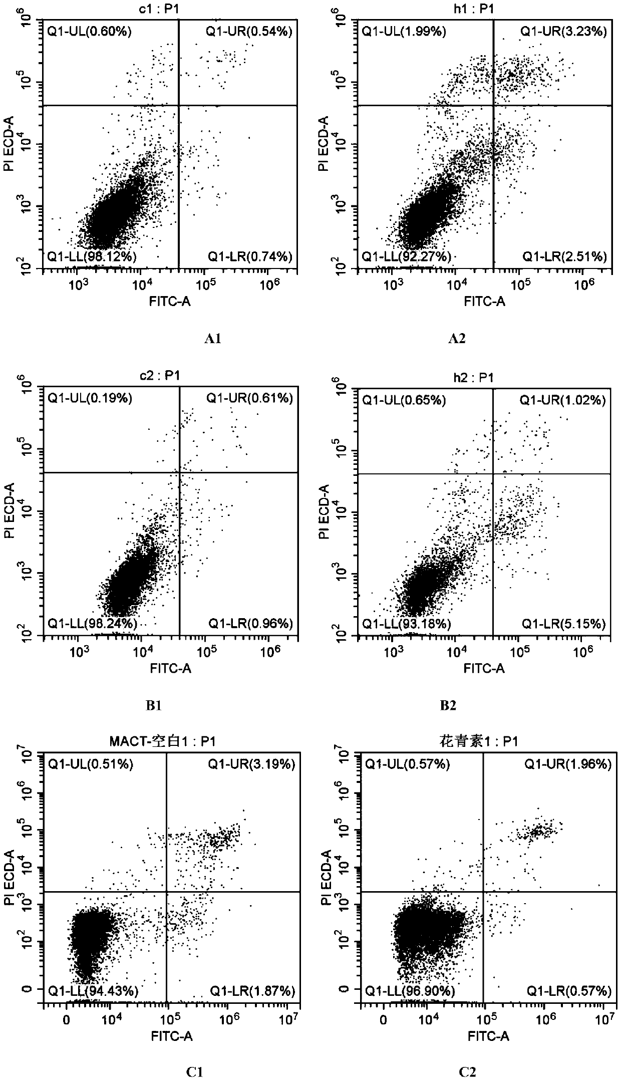 Application of lycium ruthenicum anthocyanin to preparing medicine for inducing apoptosis of two types of cancer cells