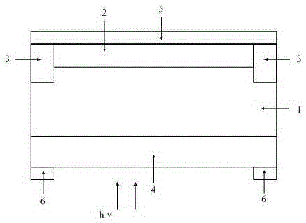 A kind of preparation method of back-illuminated si-pin photodetector