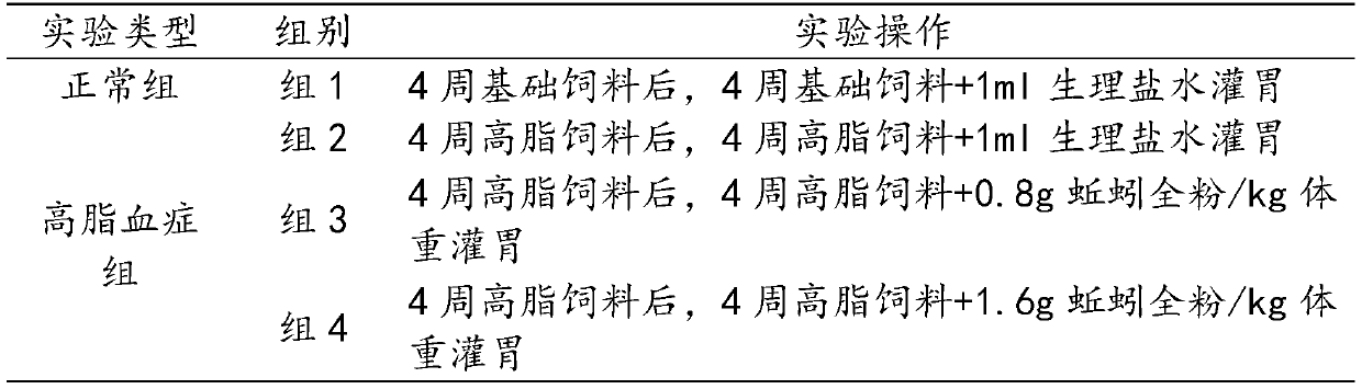 Earthworm powder, and preparation method and applications of earthworm powder