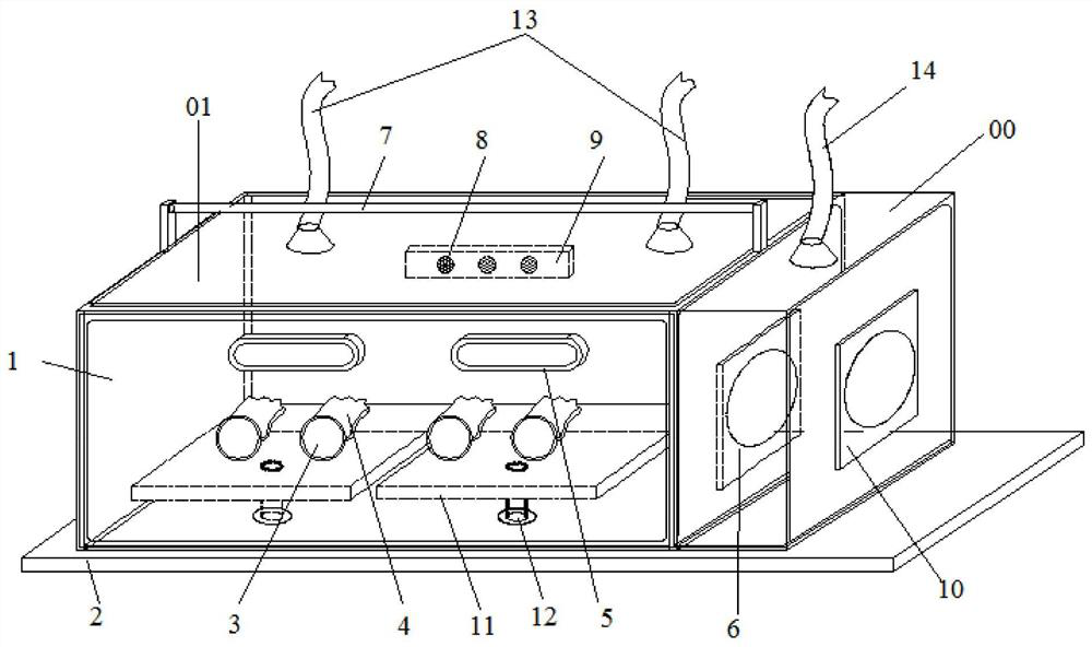 A protective device for biological experiments used in biological safety laboratories