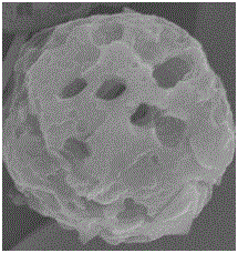 Starch microsphere and preparation method thereof