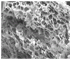 Starch microsphere and preparation method thereof