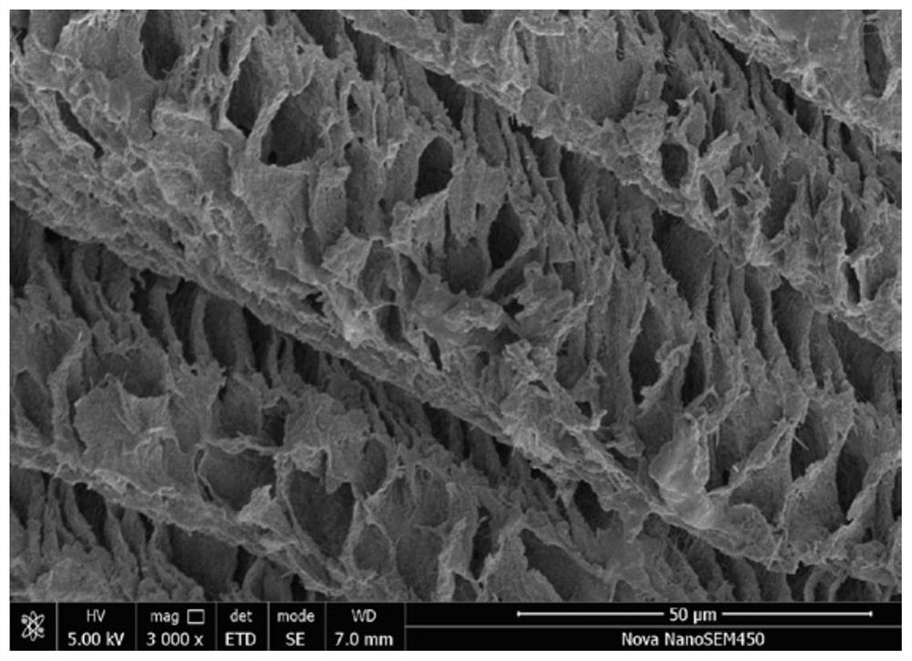 Polyvinyl alcohol-based carbon aerogel using waste leather as carbon source, and preparation method thereof