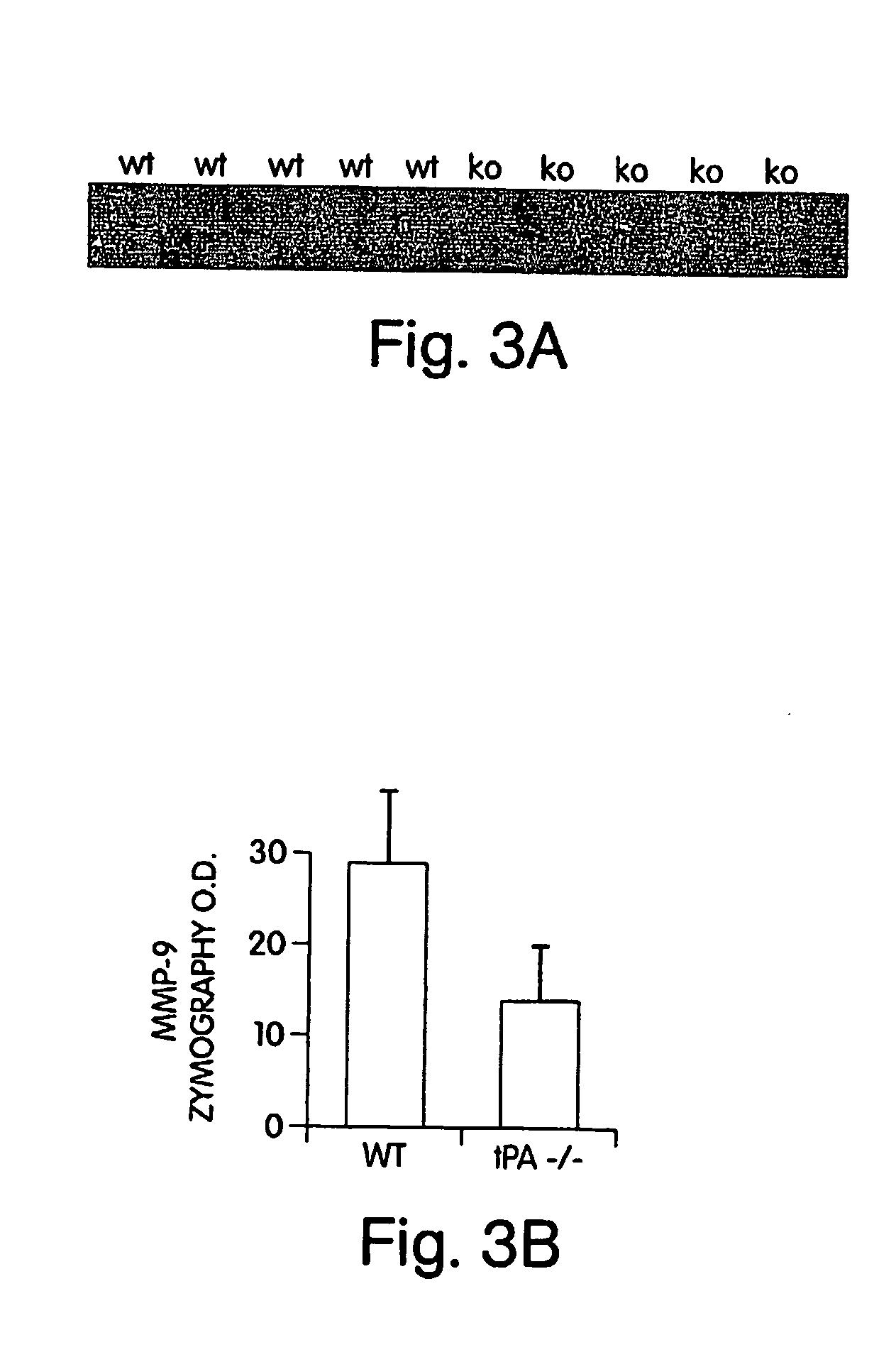 Methods and compositions for protection against thrombolysis associated reperfusion injury