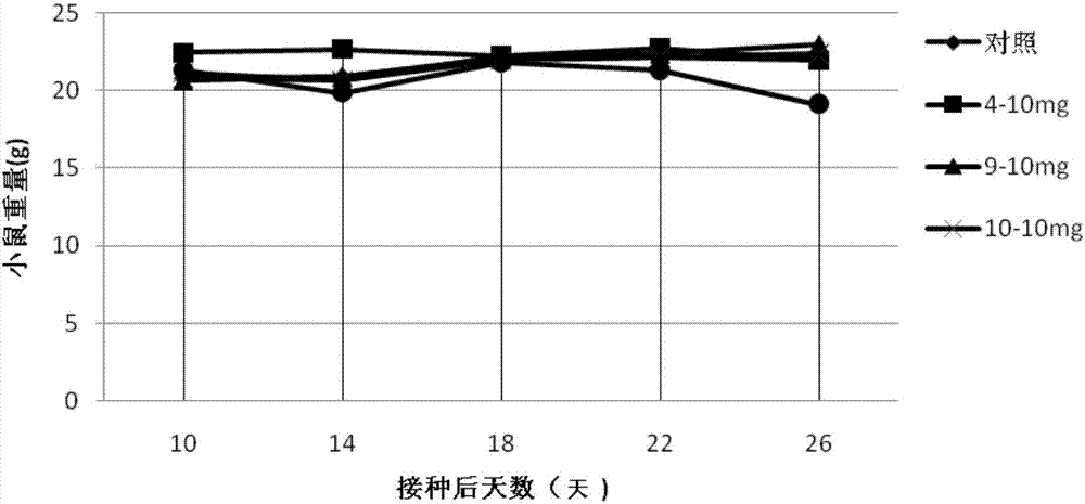 Carbazole sulfamide derivative or pharmaceutical slat thereof as well as preparation method and application thereof