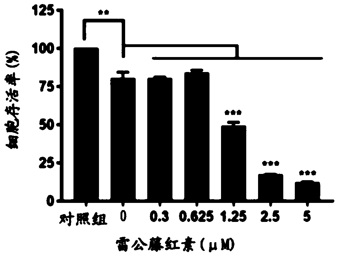 Application of combination of tripterine and erastin to medicine for treating non-small-cell lung cancer