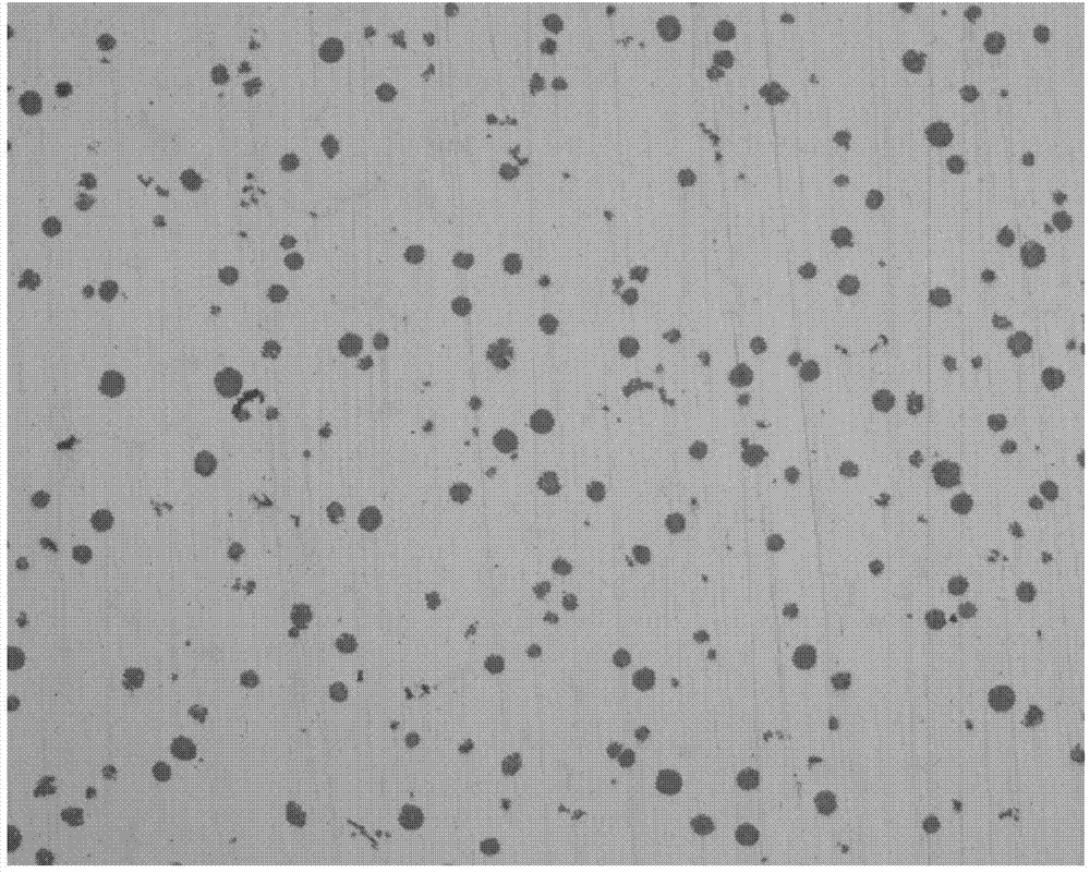 Nodulizing agent for high-nickel austenite ductile iron as well as preparation and application methods of nodulizing agent