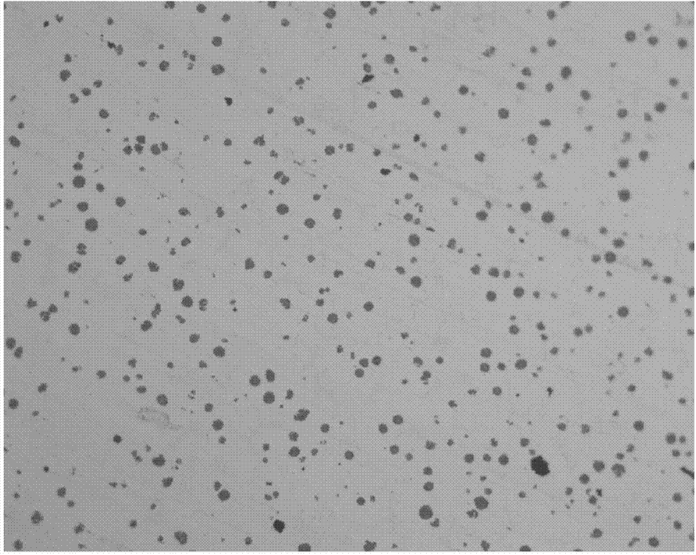 Nodulizing agent for high-nickel austenite ductile iron as well as preparation and application methods of nodulizing agent