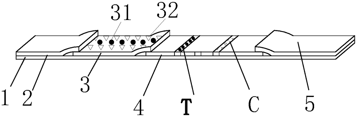 Immunofluorescence chromatography detection card used for detecting canine coronavirus antigen, and preparation method