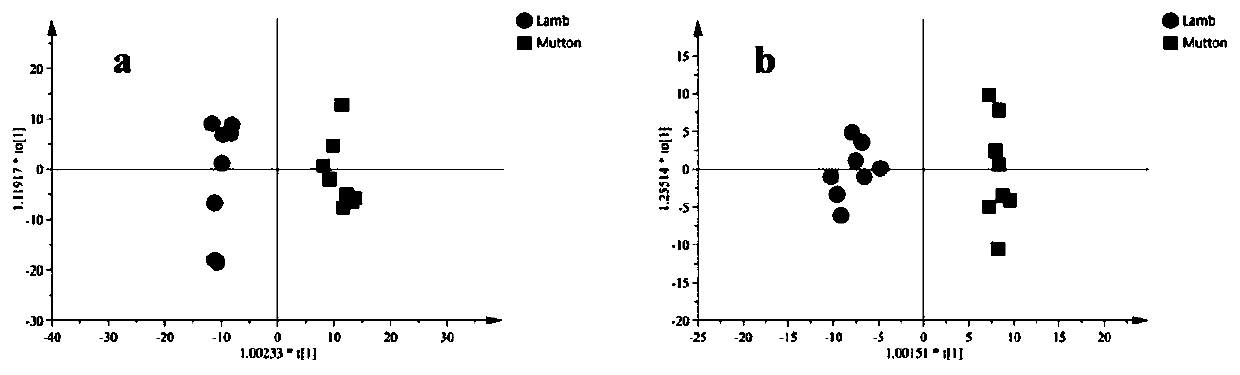 Method for identifying lamb meat and adult mutton