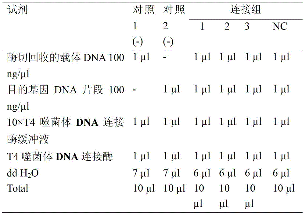 Application of a lentivirus carrying neuritin gene in the preparation of drugs for repairing retinal pigment epithelial degeneration