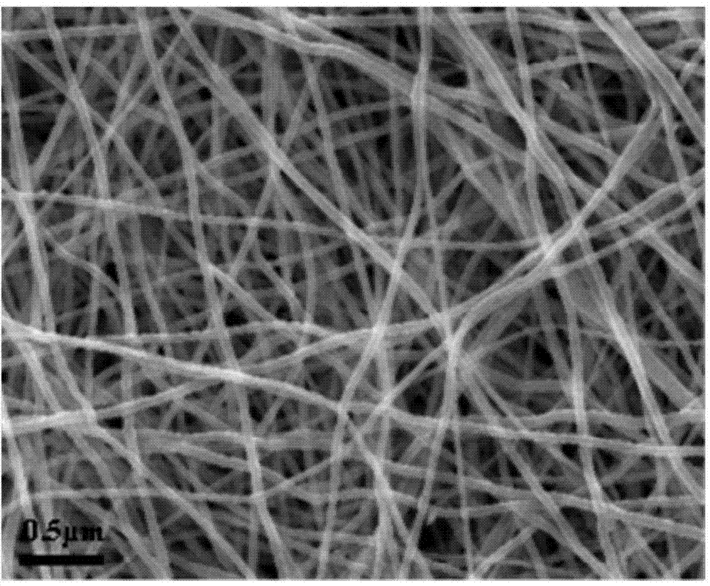 Transparent conductive film and preparation method thereof