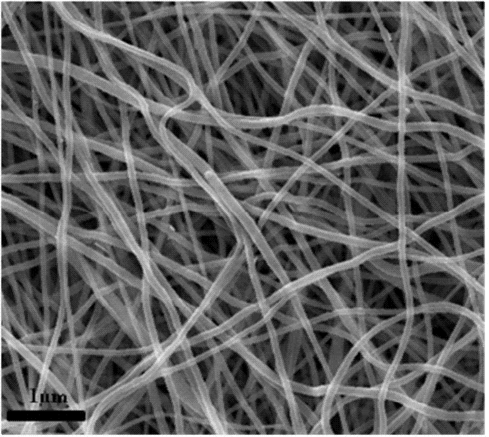 Transparent conductive film and preparation method thereof