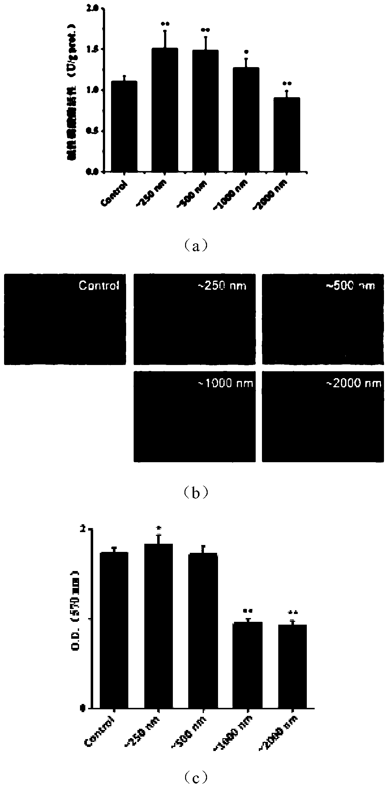 Two-layer composite periodontal defect repair material based on photo-crosslinking hydrogel and preparing method of material