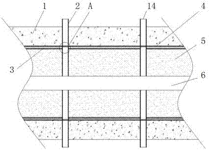 Biofilm colonization composed stuffing with function of retarding biological membrane aging and shedding