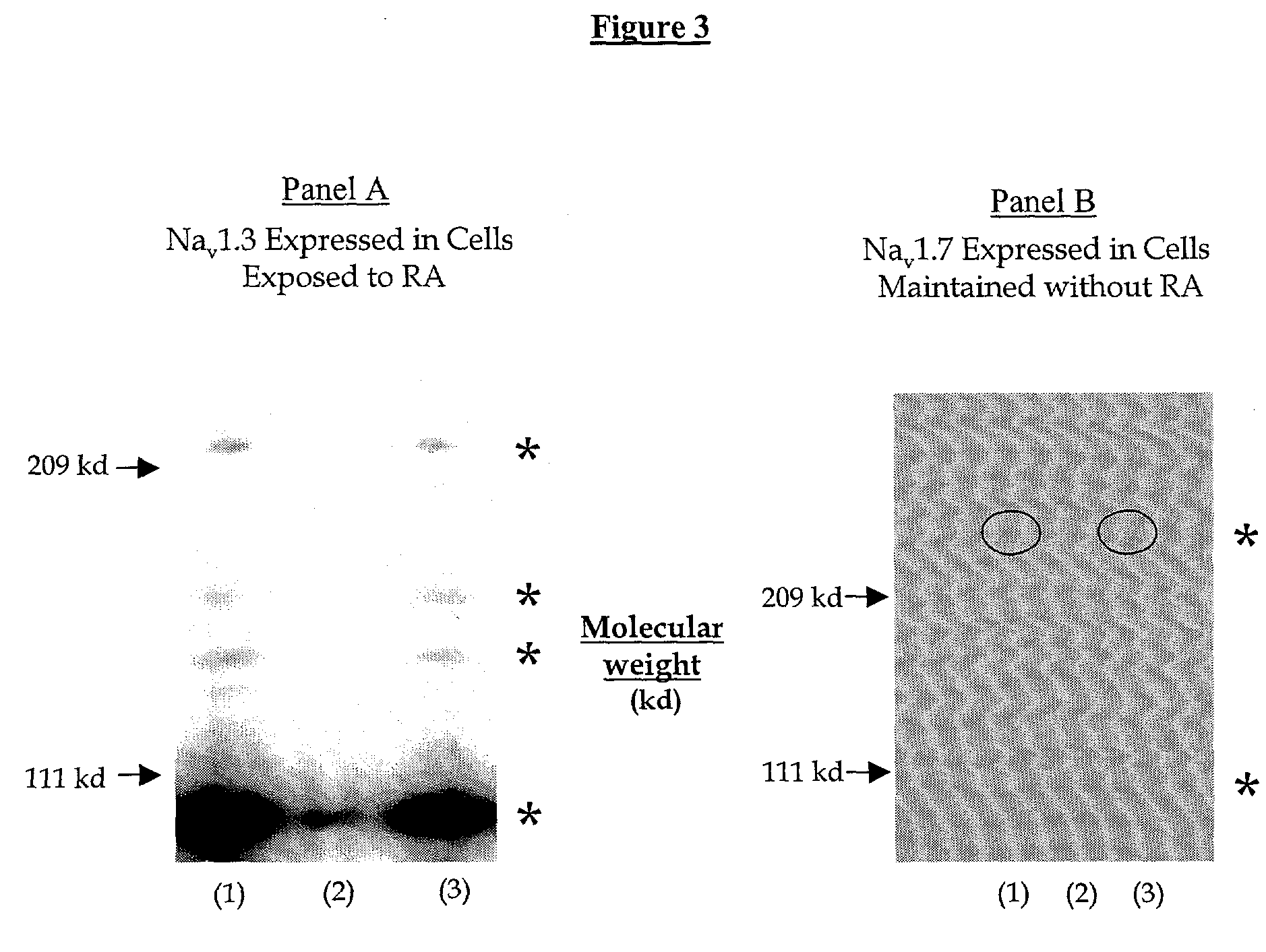 Method for identifying modulators of ion channels