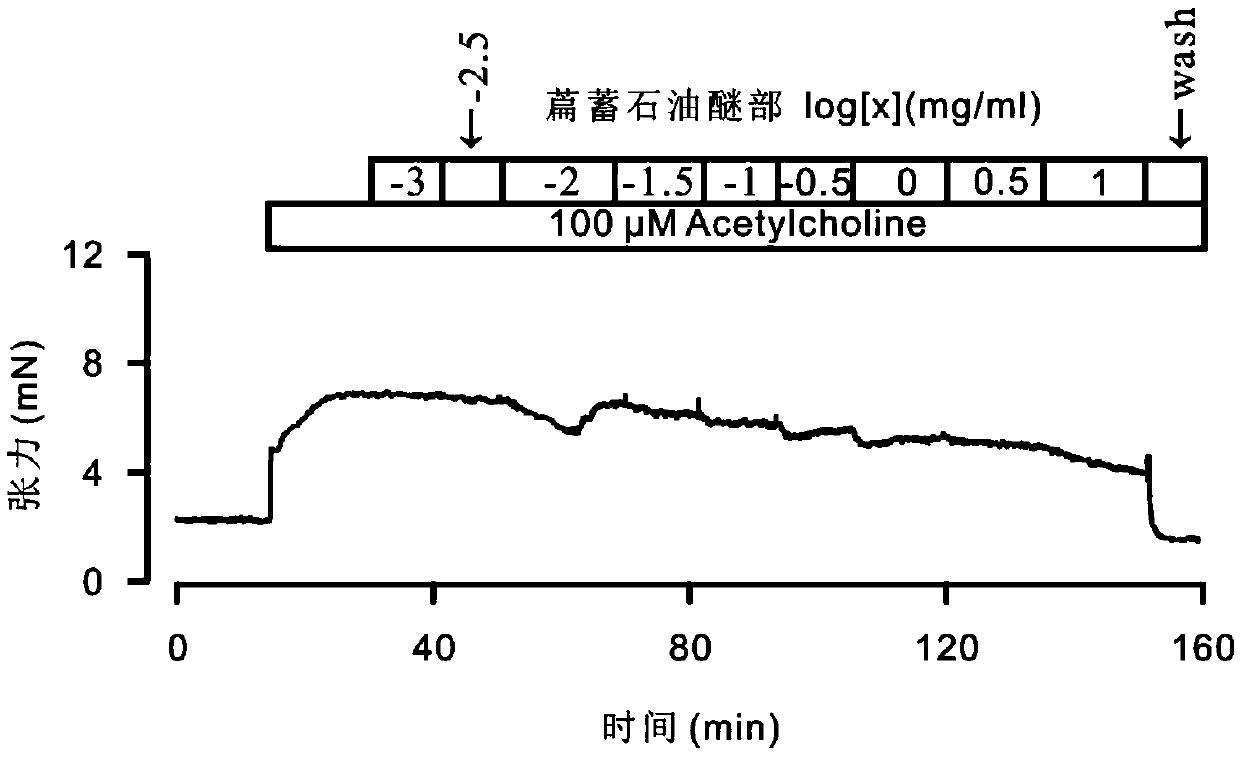 Polygonum aviculare ethyl acetate extract and preparation method and application