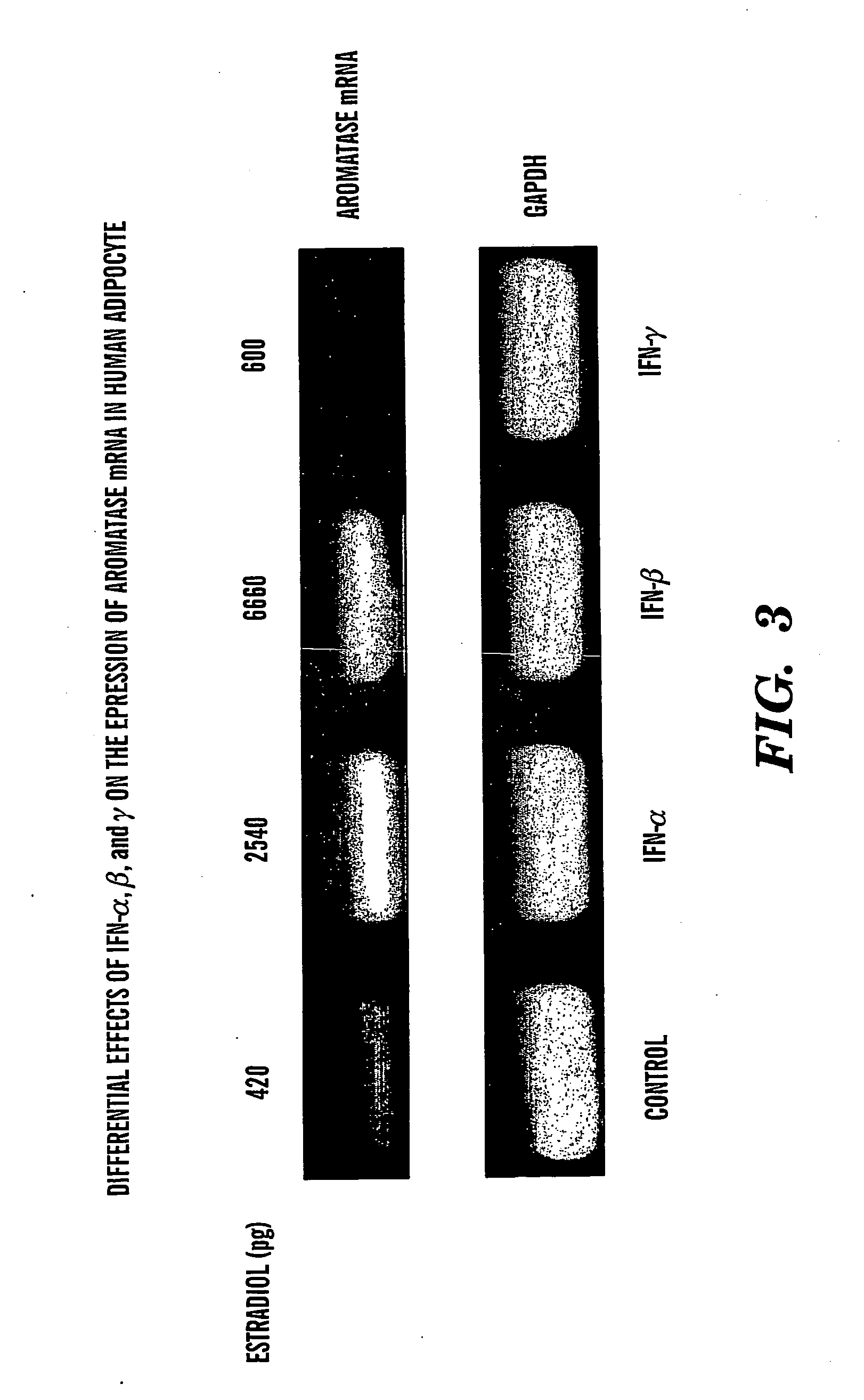 Method of treating estrogen responsive breast cancer