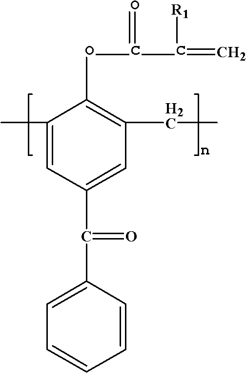 Polymerizable macromolecule photoinitiator and preparation method thereof